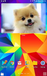 Screenshot 7 Simple Photo Widget android