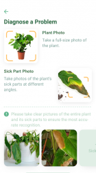 Captura 5 NatureID - Identificar plantas, flores! android