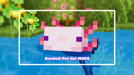 Imágen 2 Axolotl Pet for MCPE android
