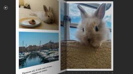 Screenshot 1 Libro de pequeño conejo Lapinpin windows