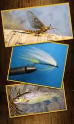 Captura de Pantalla 5 Trout Fly Fishing - Fly Tying windows
