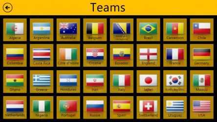 Screenshot 6 World Cup 2014 Free windows