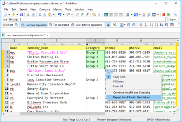 Captura de Pantalla 7 EmEditor text editor (32-bit) windows