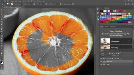 Capture 4 Adobe Photoshop - All You Need To Know Guides windows