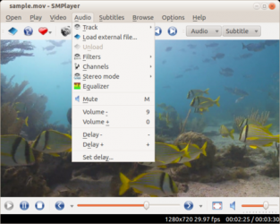 Captura de Pantalla 3 SMPlayer windows