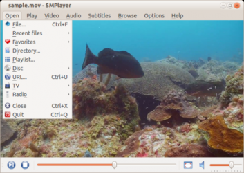 Captura de Pantalla 5 SMPlayer windows