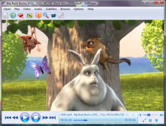 Screenshot 9 SMPlayer windows