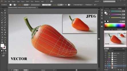 Screenshot 4 Adobe Illustrator - All You Need To Know Guides windows