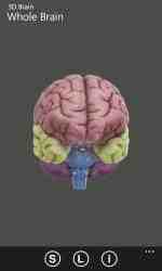 Captura de Pantalla 1 3D Brain windows