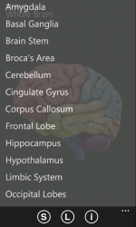 Screenshot 4 3D Brain windows