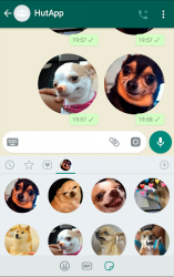 Captura 4 Stickers de perros WhatsApp android