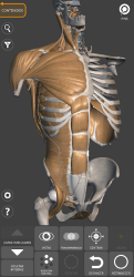 Captura 2 Anatomía 3D para el artista android