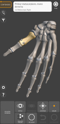 Captura de Pantalla 4 Anatomía 3D para el artista android