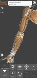 Screenshot 3 Anatomía 3D para el artista android