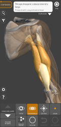 Captura 6 Anatomía 3D para el artista android