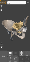 Imágen 5 Anatomía 3D para el artista android