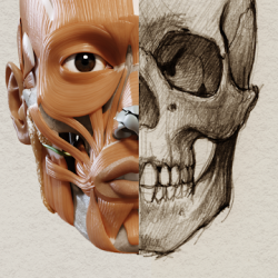 Captura de Pantalla 1 Anatomía 3D para el artista android