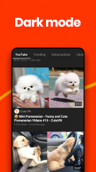 Capture 5 BaroTube: Floating Video Player, Tube Floating android