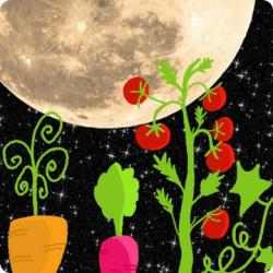 Captura de Pantalla 1 Lunar Calendario del jardinero android