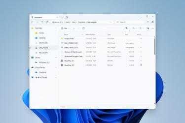 Screenshot 1 Themes for Files windows