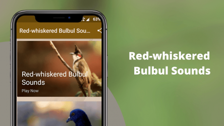 Captura 2 Red-whiskered Bulbul Sounds android
