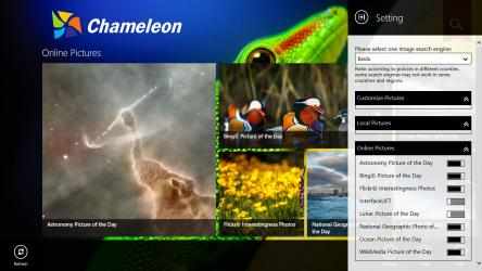 Screenshot 2 Chameleon windows
