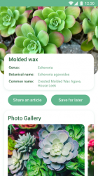 Screenshot 3 NatureID - Identificar plantas android