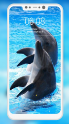 Screenshot 11 Dolphin Wallpaper android