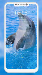 Captura 10 Dolphin Wallpaper android