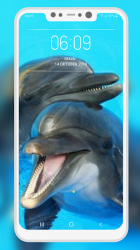 Screenshot 7 Dolphin Wallpaper android
