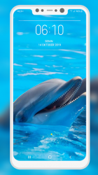 Captura 3 Dolphin Wallpaper android