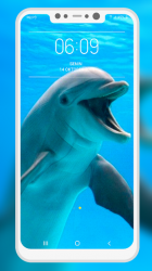 Captura de Pantalla 6 Dolphin Wallpaper android