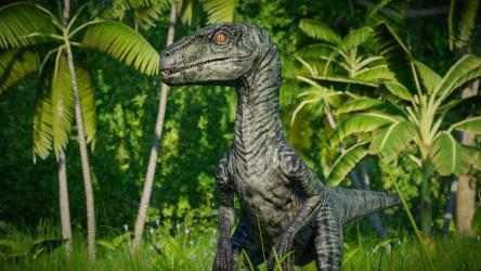 Captura de Pantalla 8 Jurassic World Evolution: Colección de pieles de manada de velocirraptores windows