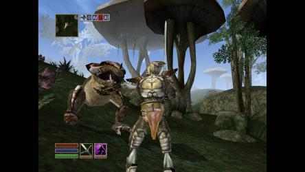 Screenshot 6 The Elder Scrolls III: Morrowind windows