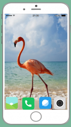 Captura 10 Flamingo Full HD Wallpaper android