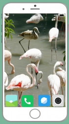 Captura de Pantalla 5 Flamingo Full HD Wallpaper android