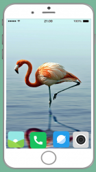 Captura 3 Flamingo Full HD Wallpaper android
