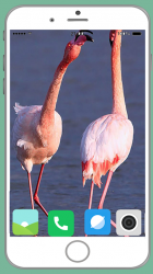 Captura 4 Flamingo Full HD Wallpaper android