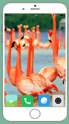 Captura 6 Flamingo Full HD Wallpaper android