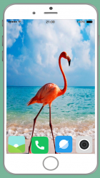 Screenshot 8 Flamingo Full HD Wallpaper android