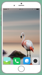 Captura de Pantalla 12 Flamingo Full HD Wallpaper android