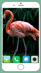 Captura 14 Flamingo Full HD Wallpaper android