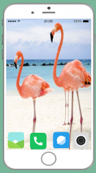 Captura de Pantalla 7 Flamingo Full HD Wallpaper android