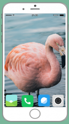 Screenshot 13 Flamingo Full HD Wallpaper android