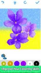Capture 12 Flowers Glitter Pixel Art Color by Number - Mandala Sandbox Coloring windows