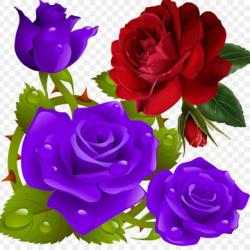 Image 1 Flowers and Roses Live Wallpaper Gif App android