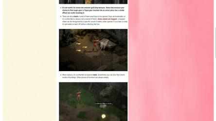 Screenshot 6 Diablo 2 Resurrected Guide windows