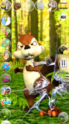 Screenshot 12 Talking James Squirrel android