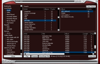 Screenshot 3 Winamp windows