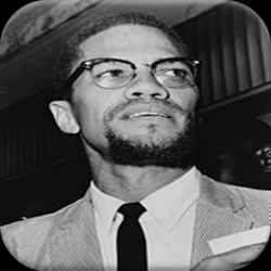 Captura 1 Biografía de Malcolm X android